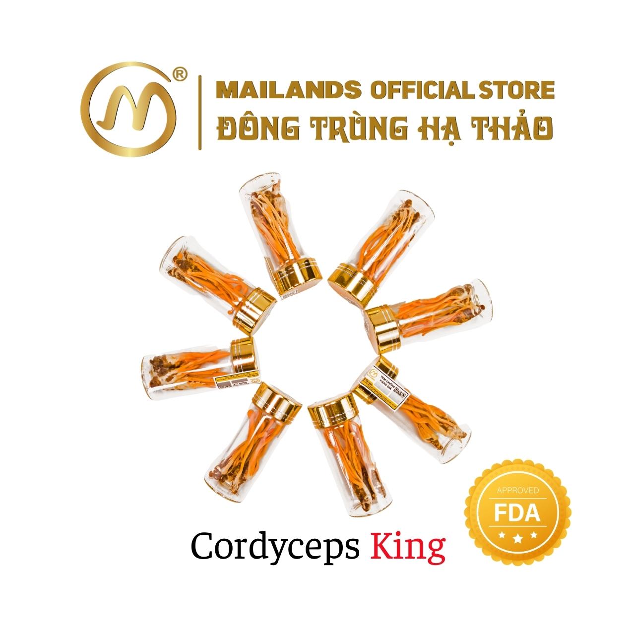 Đông Trùng Hạ Thảo Cordyceps KING