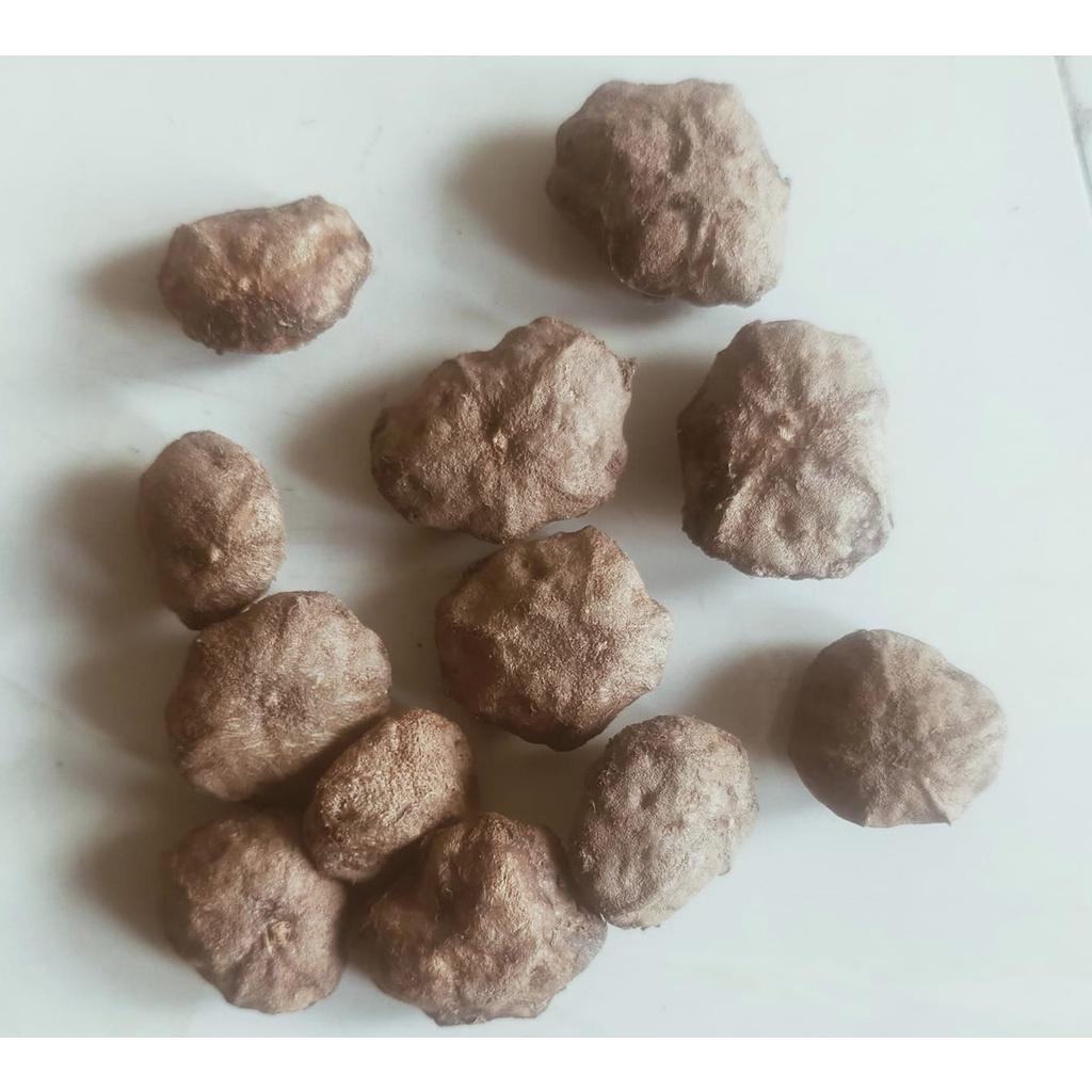 100 gram hạt sấu giống