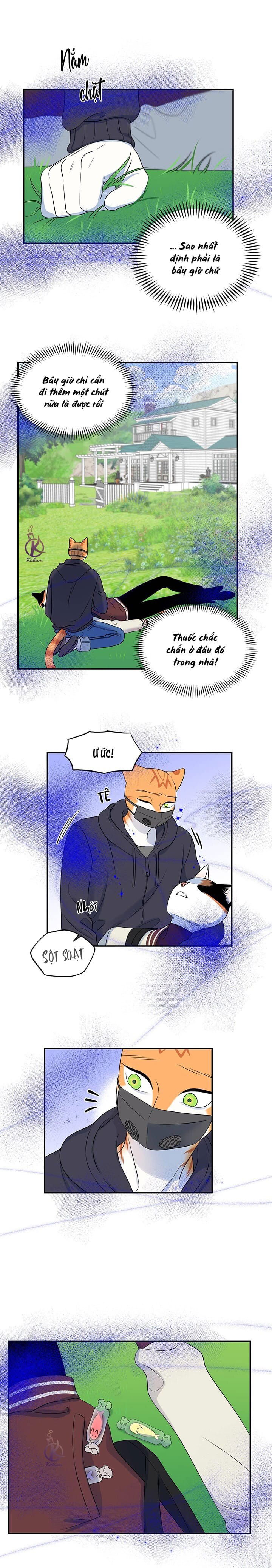 dự án xanh chapter 33 16