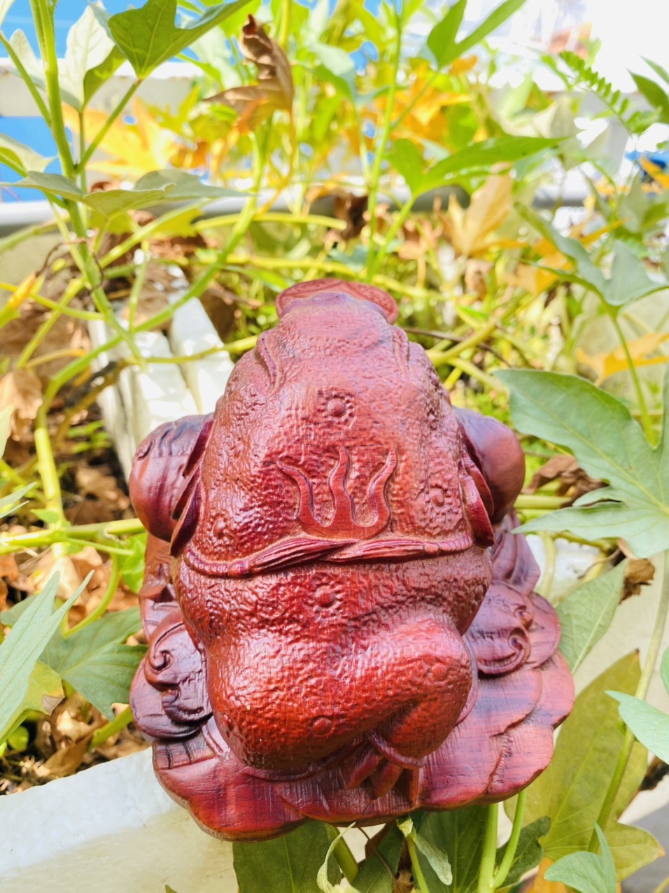 Thiềm thừ chiêu tài gỗ Hương