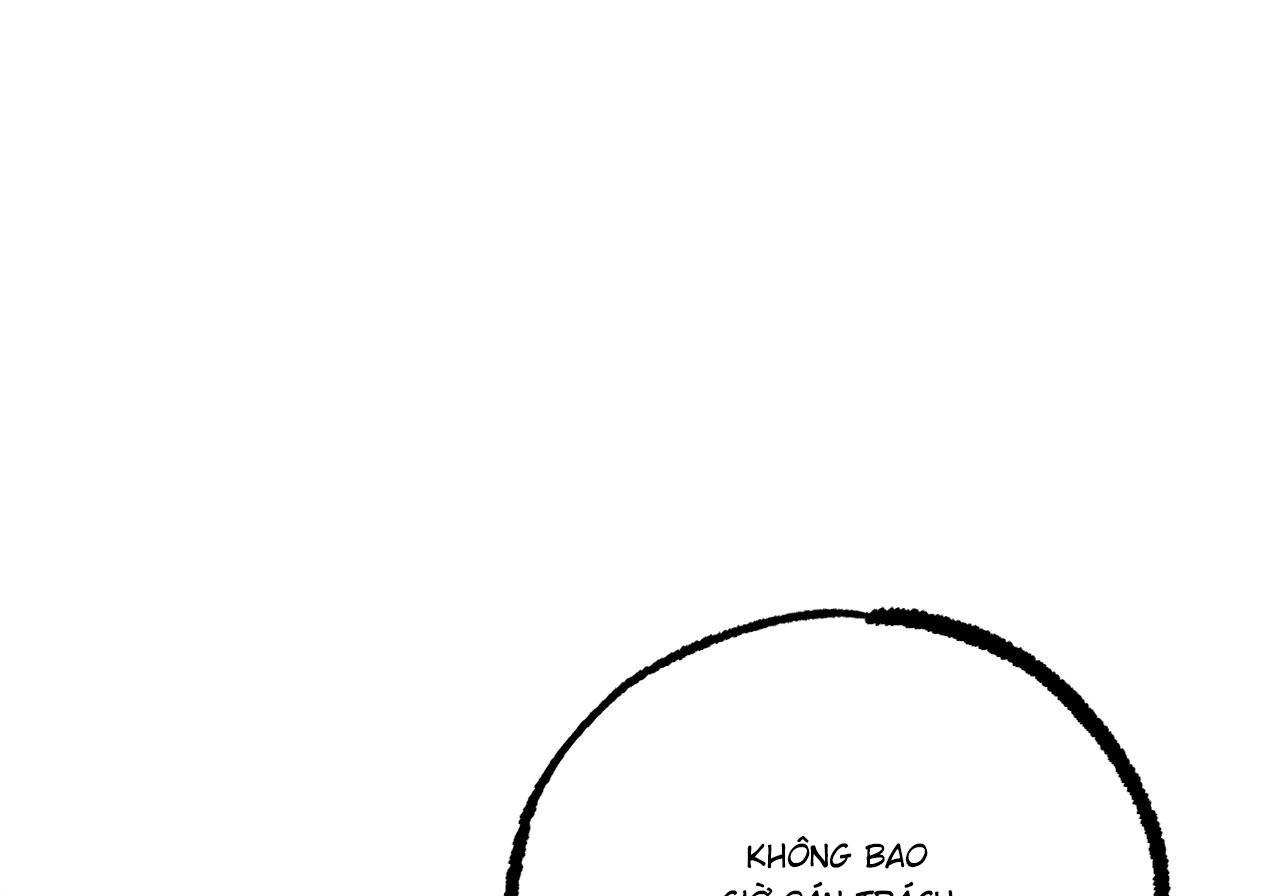 những chú thỏ của hapypy chapter 60 243