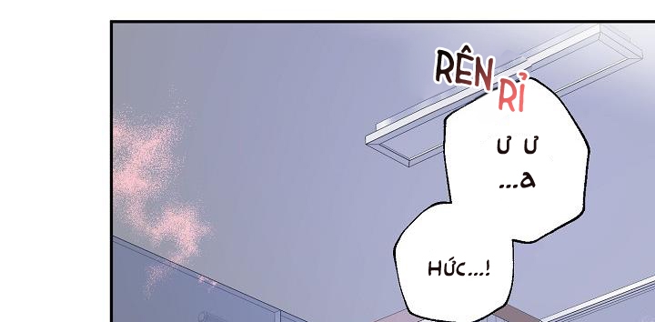 xác suất tình yêu chapter 37 36