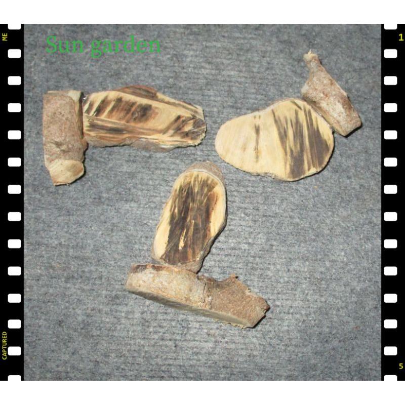 TƯỢNG GỖ MAI TRANG TRÍ SÁNG TẠO