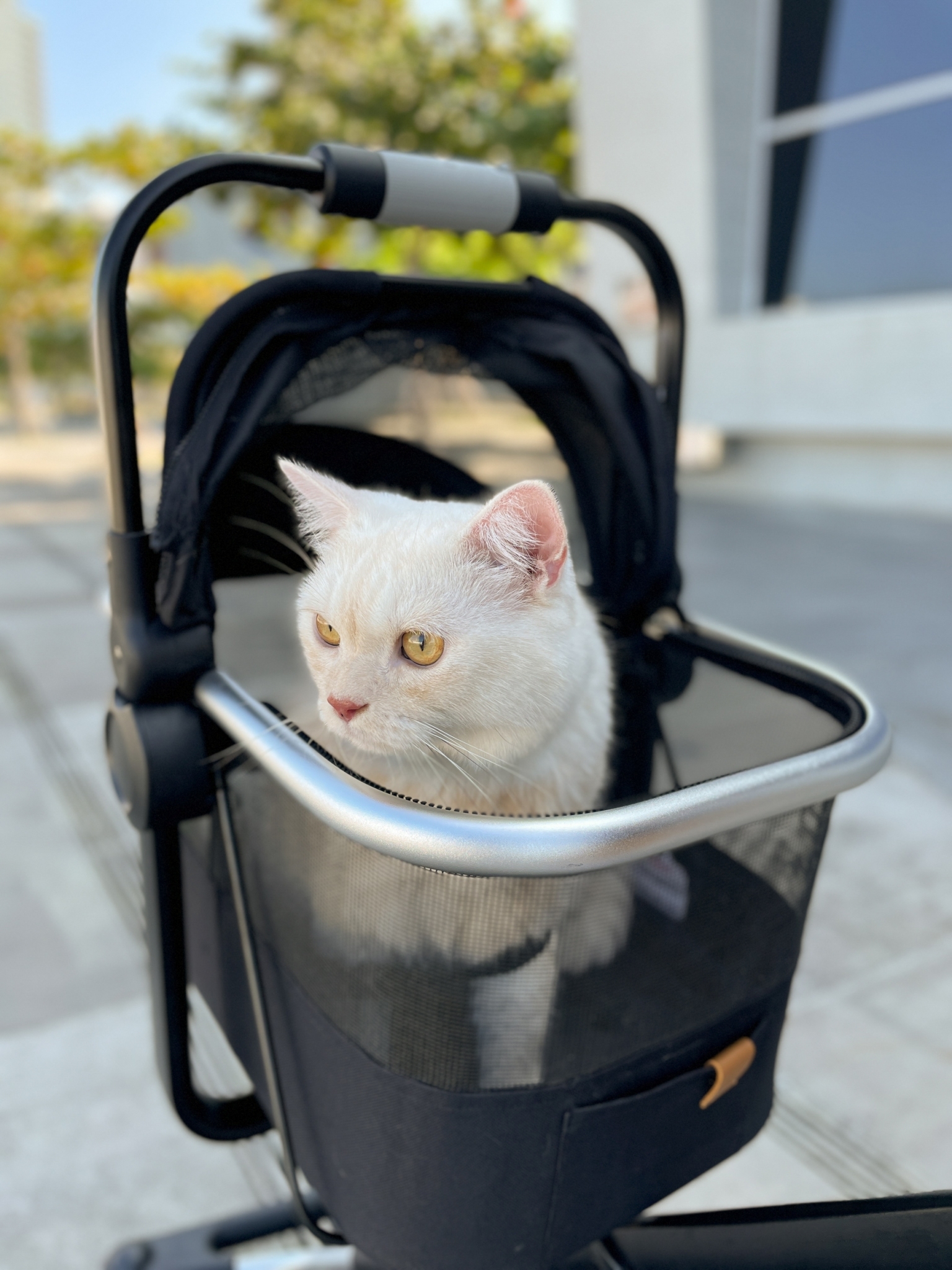 Unilove Bộ chuyển đổi lồng đựng thú cưng xe đẩy On The Go