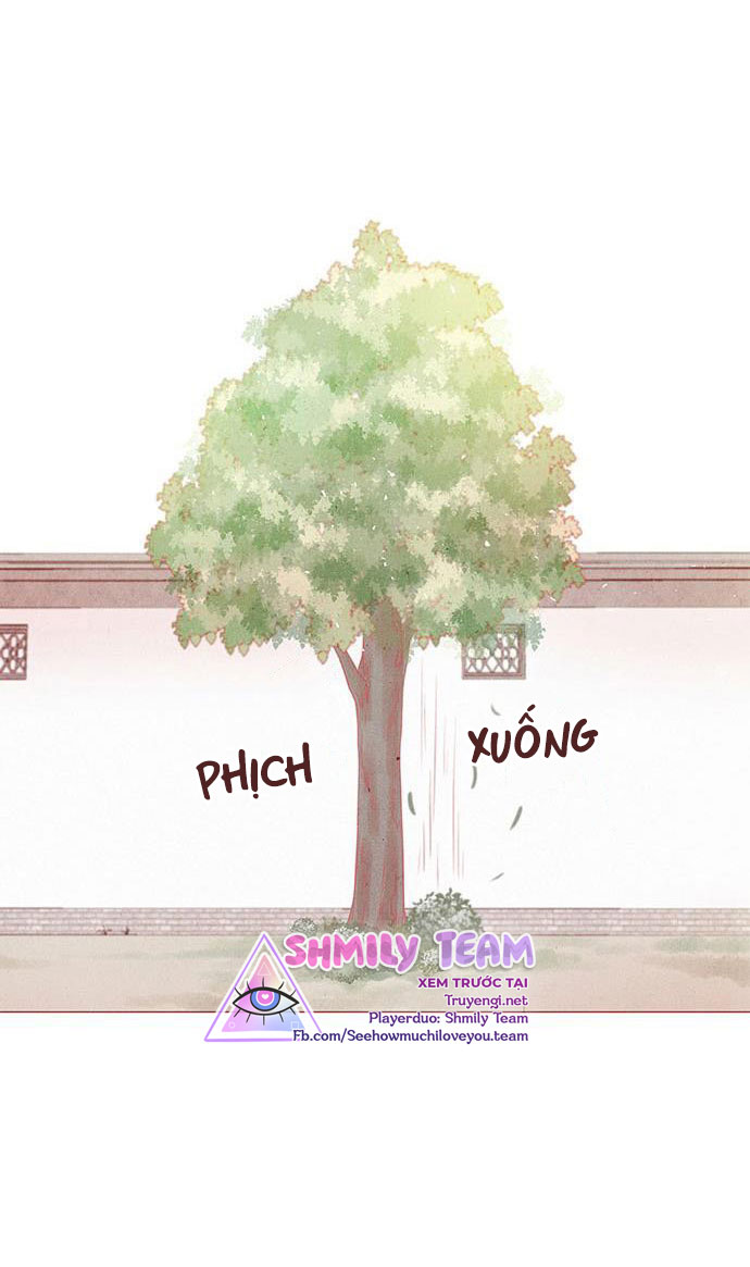 liệu rắn có ăn hoa chapter 7 41