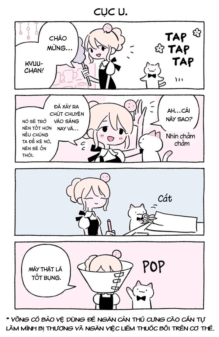 chú mèo kỳ diệu kyuu-chan chapter 732 3