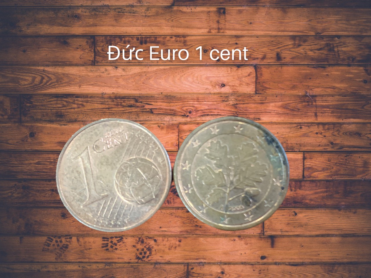 Xu thế giới 1 cent Euro sưu tầm của Đức với hình ảnh lá phông 2002 tới nay