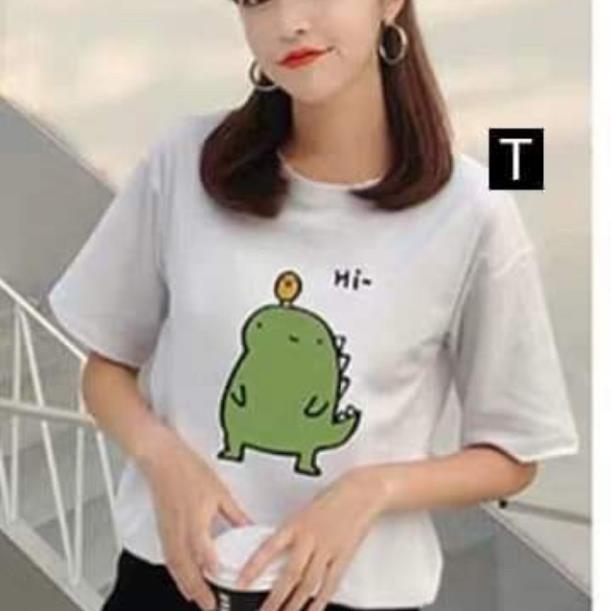Quần áo giá sưởng Áo khủng long Hi cộc tay TTO988