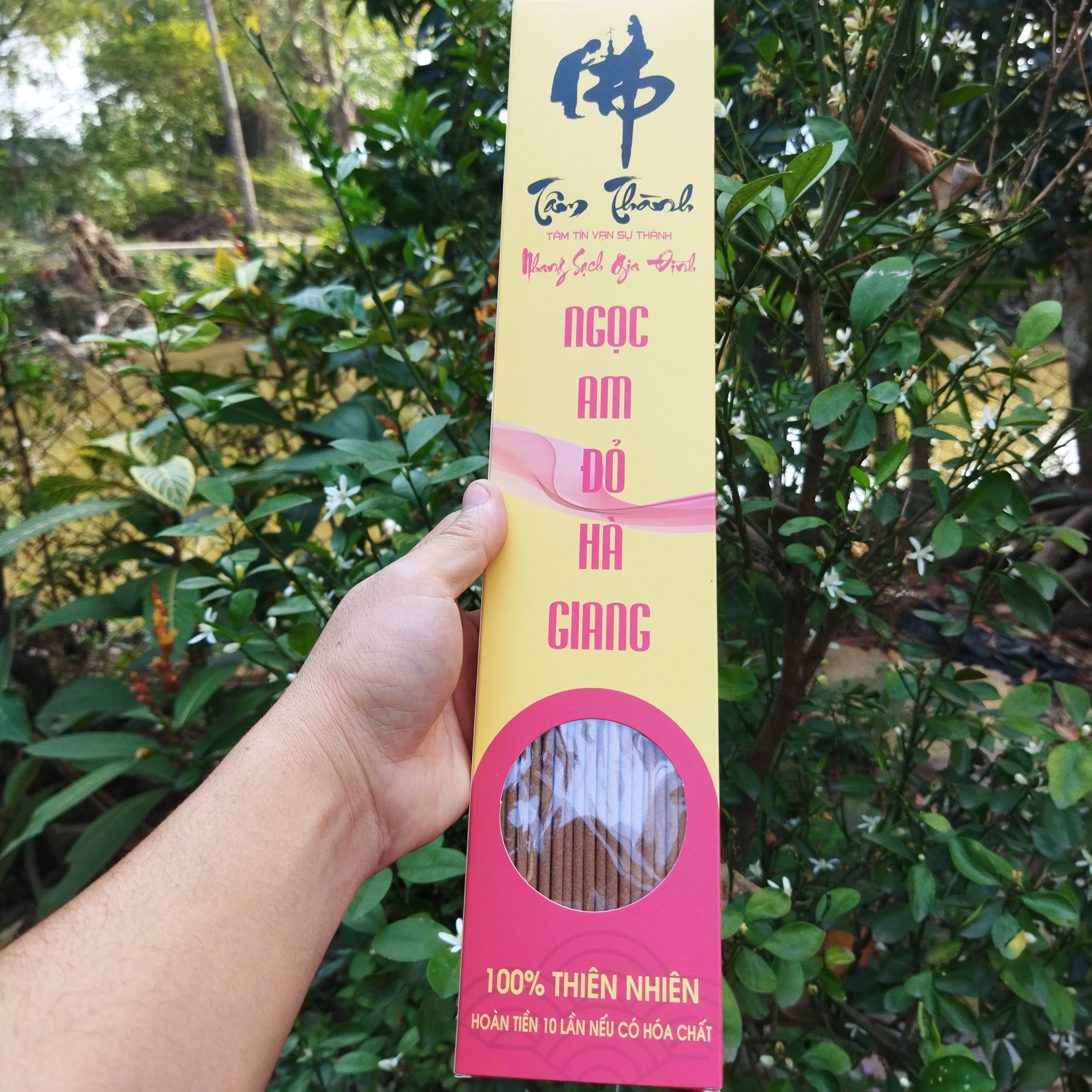 Hương Hoàng_Đàn Tuyết Lạng Sơn_Nhang Hoàng_Đàn_Nhang Bách_Xanh_Nhang Ngọc_Am_Cam Kết 100% Không Hóa Chất.