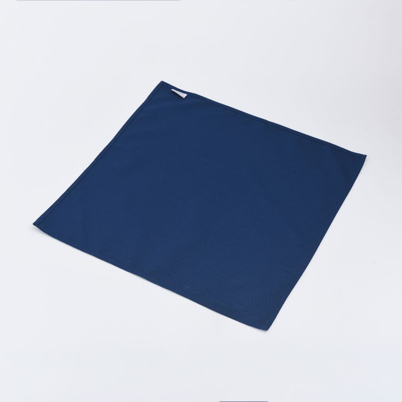 Khăn ăn 45x45cm Ink Hidden Stripe Khaki Napkin (Cobalt)