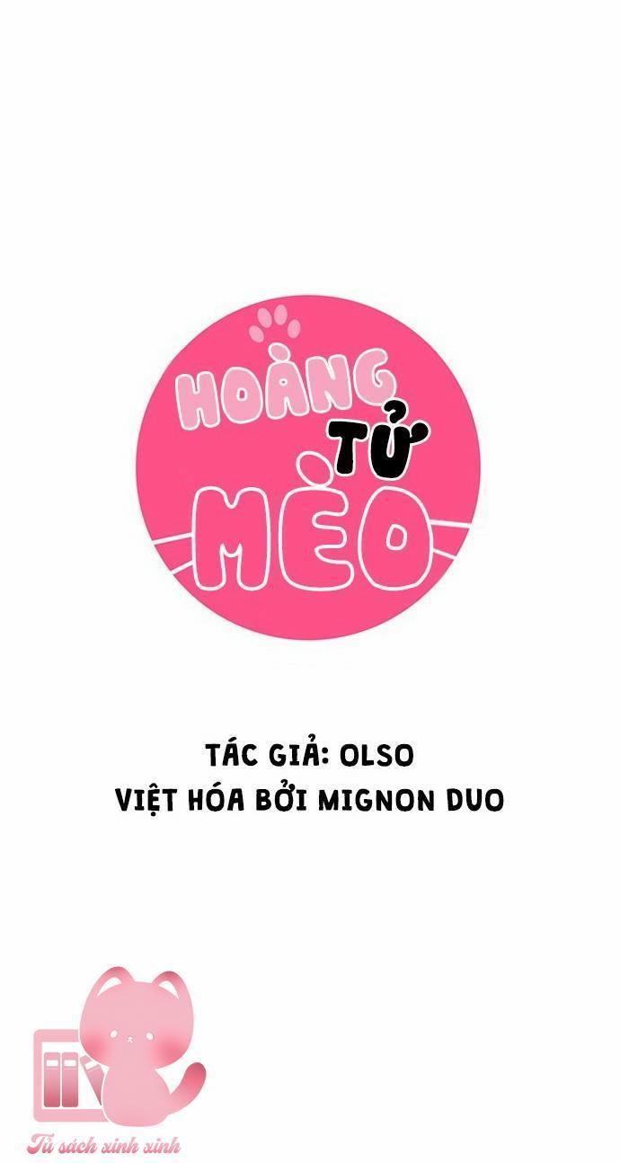 hoàng tử mèo chapter 26 5