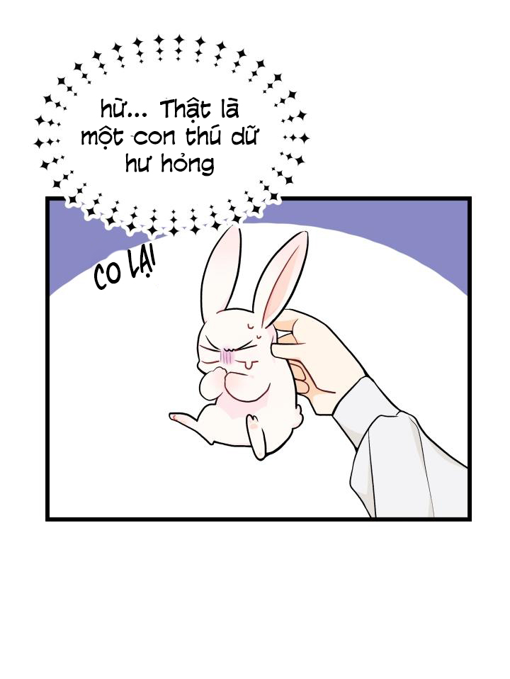 mối liên kết giữa báo đen và bé thỏ chapter 10 35