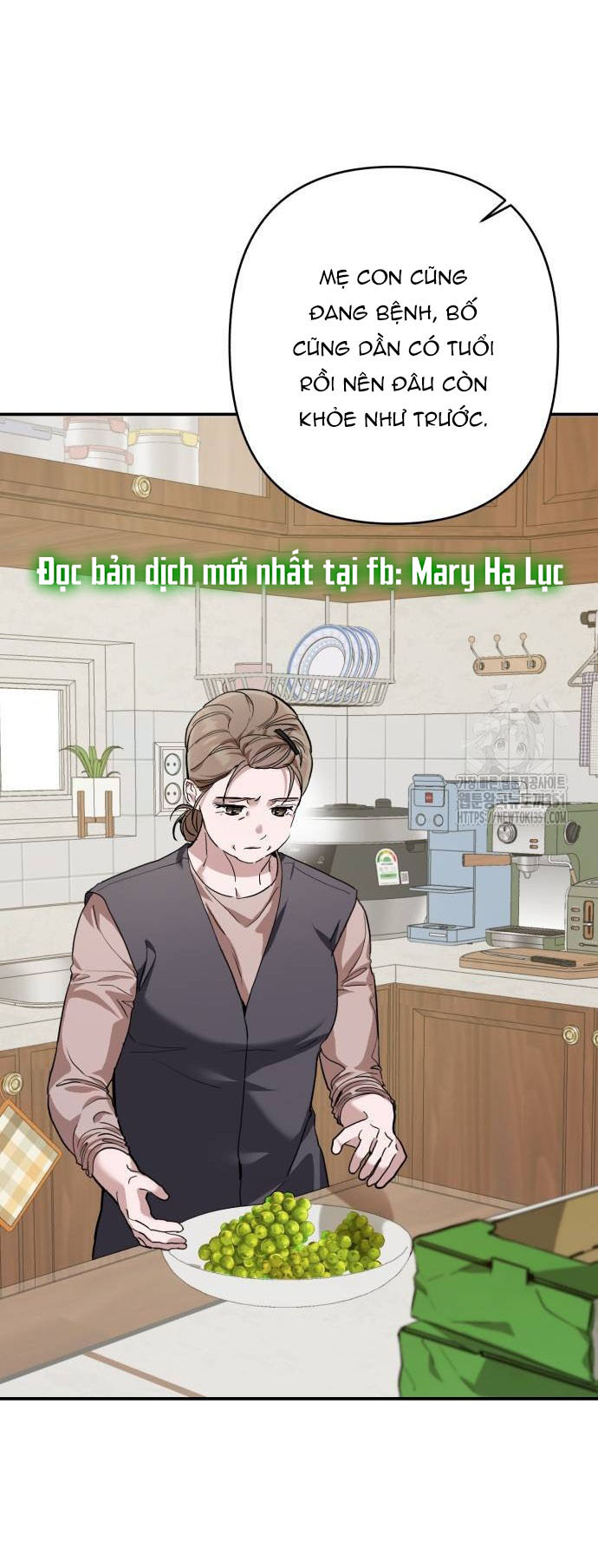 bóng râm mùa xuân chapter 11.1 30