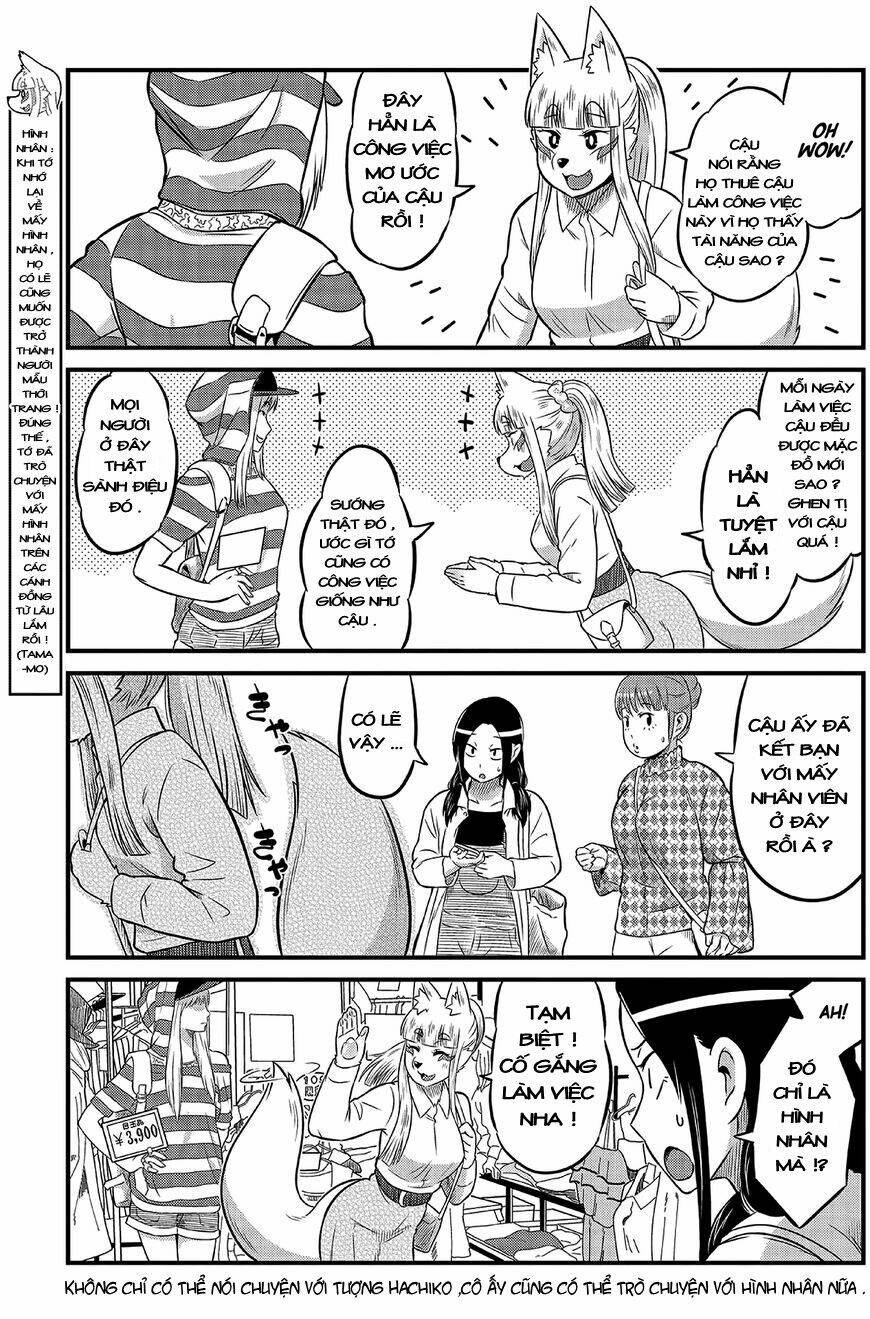 high school inari tamamo-chan ! chapter 8 8