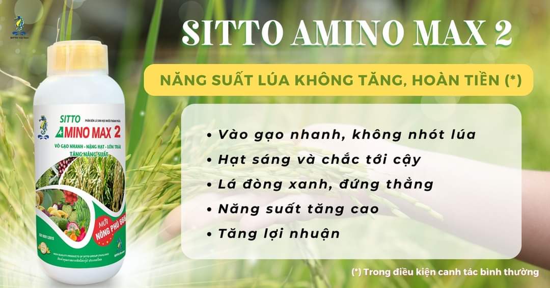 Nông Phú 666 vào gạo siêu nhanh, Amino Max 2 chai 500ml