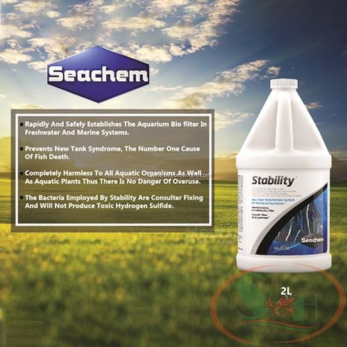 Vi sinh nước Seachem Stability 100ml, 250ml, 500ml, 1L, 2L men xử lý làm trong nước bể cá tép thủy sinh
