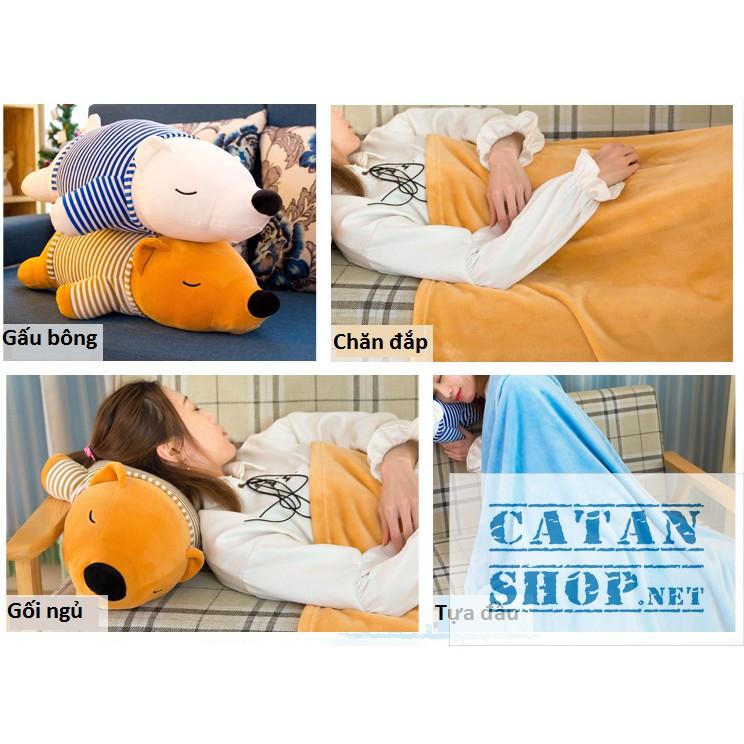Gối mền gấu ngủ, vải thun 4 chiều cực mịn, chăn gối văn phòng, gấu bông kèm mền , gấu bông Catanshop