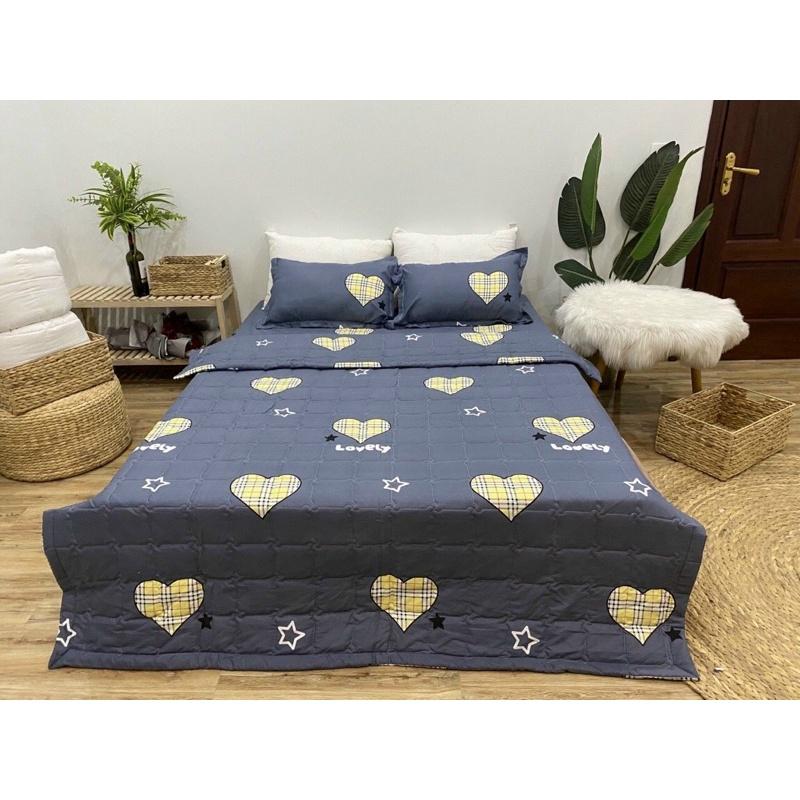 Bộ chăn hè ga gối cottonpoly 5 món