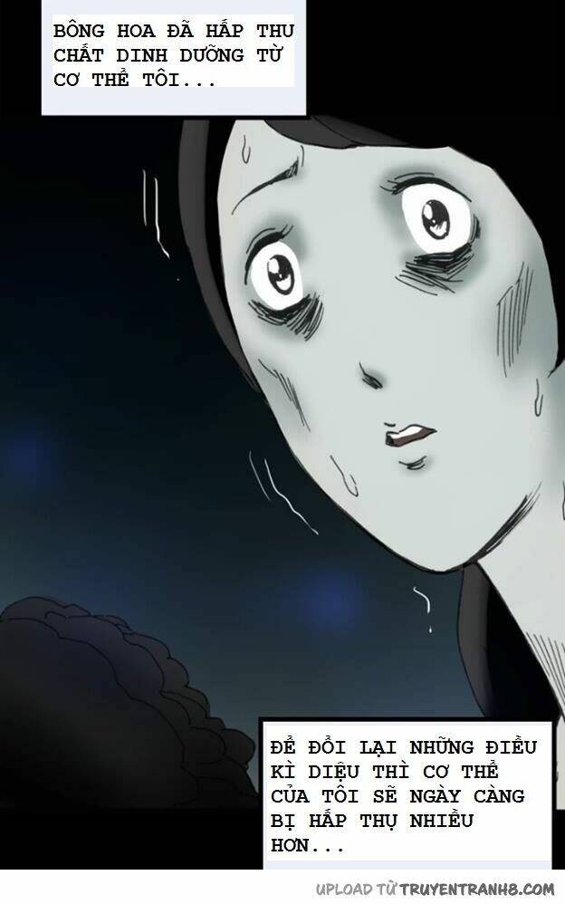 hoa mẫu đơn đen chapter 5 17