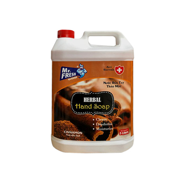 Nước rửa tay làm sạch &amp; khử mùi Premium Hand Soap Mr Fresh Hàn Quốc 5L ( 3 mùi hương Táo , Dâu , Quế