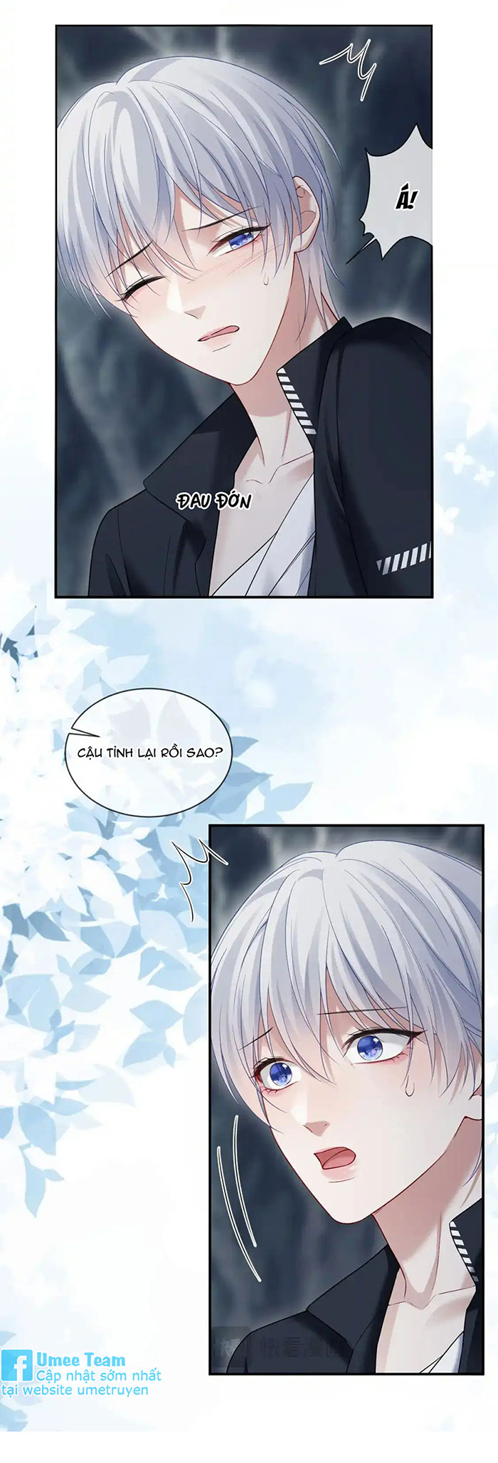 xin hãy ly hôn chapter 126 7