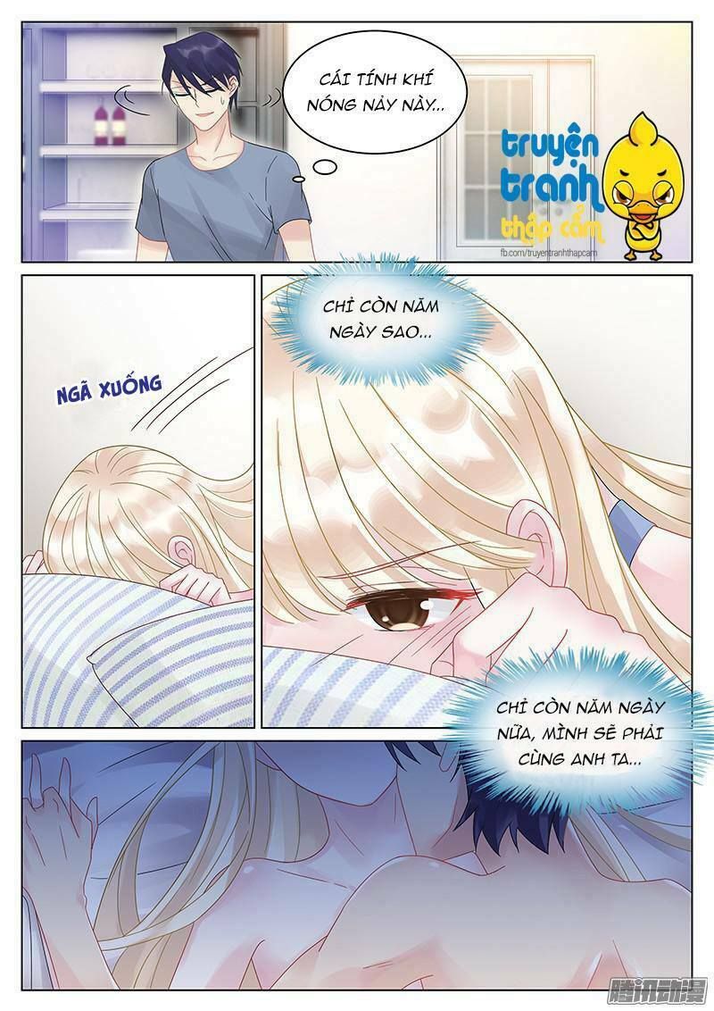 nhạ thượng thủ tịch tổng tài chapter 28 8