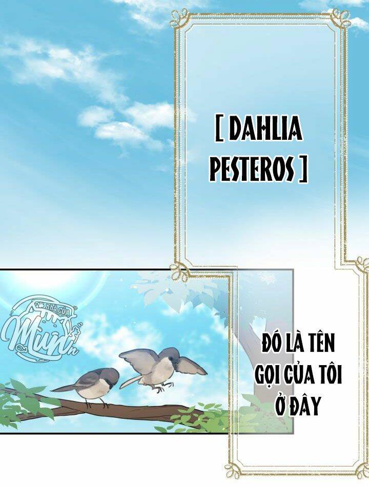 những nhân vật mạnh nhất thế giới ám ảnh tôi chapter 1 35