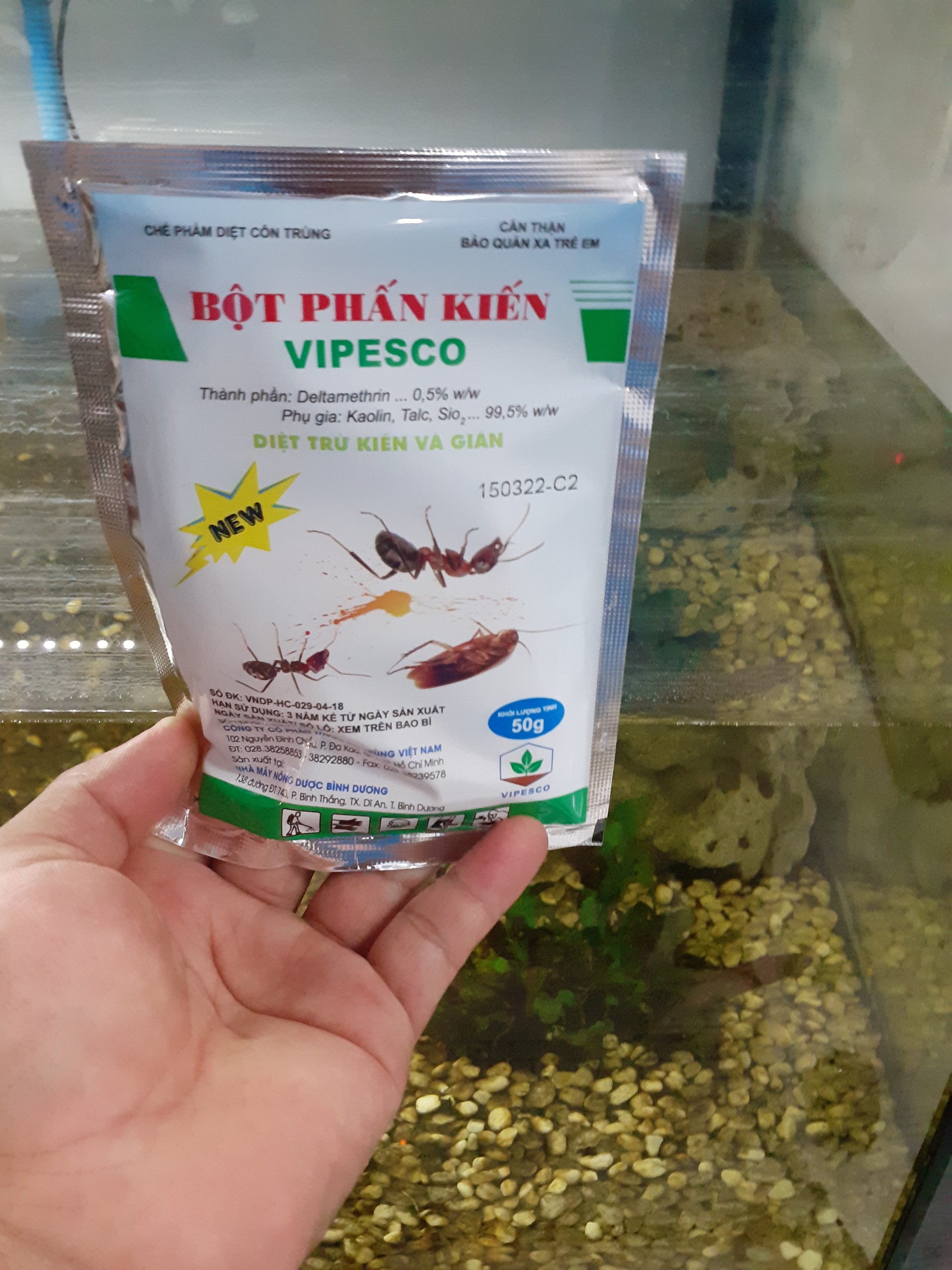Bột phấn kiến, gián