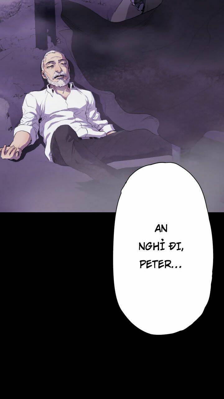 balance chapter 15 19