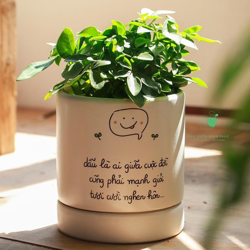 Chậu decor men gốm "Tốt lành nho nhỏ" - Chậu quà tặng người thân yêu
