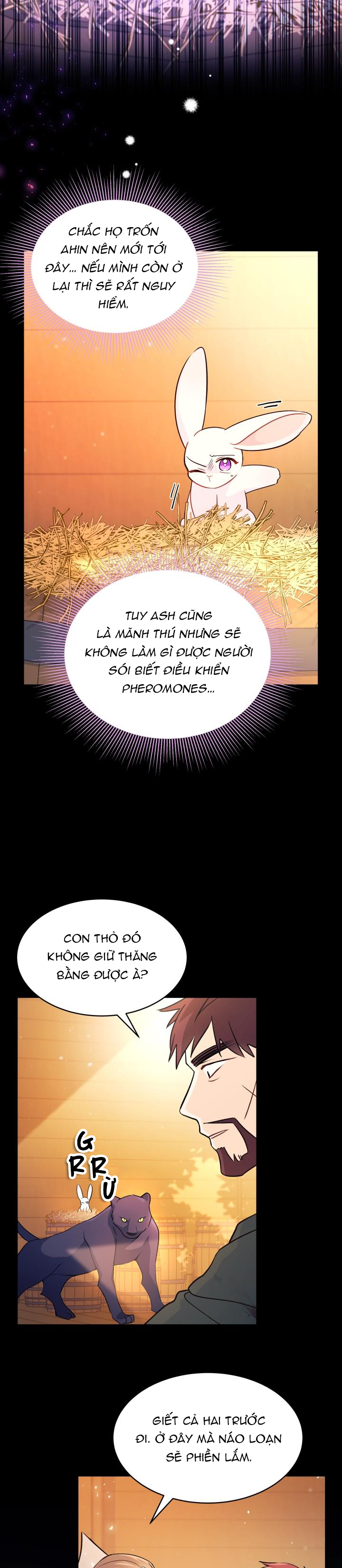 mối liên kết giữa báo đen và bé thỏ chapter 28 13