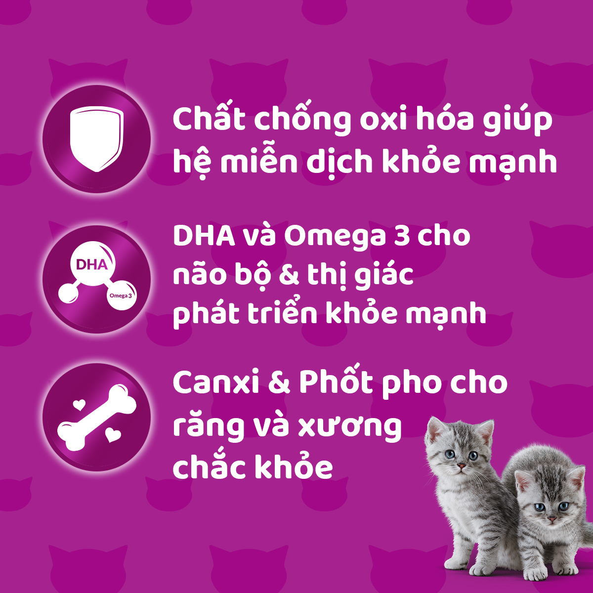 [Quà tặng không bán] WHISKAS TASTY MIX Thức Ăn Cho Mèo Con Dạng Sốt Vị Gà, Cá Ngừ, Khoai Lang &amp; Nước Sốt, 70g