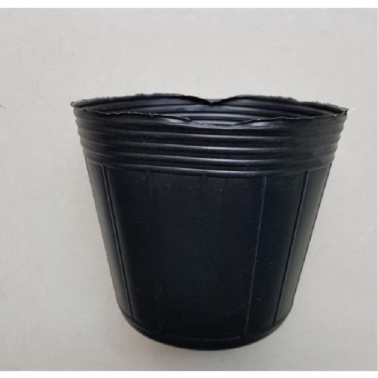 10 Chậu nhựa 9cm,dẻo màu đen ươm cây ,ươm hạt giống