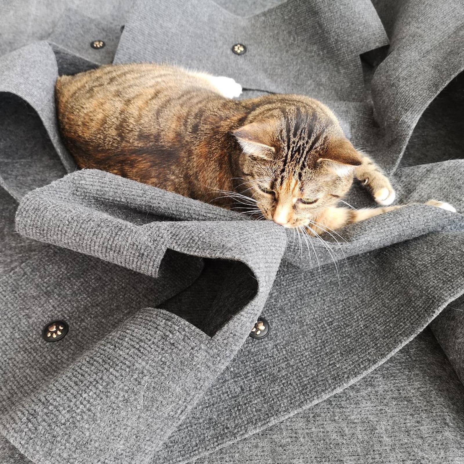 Collapsible Cat Toy Mat, Interactive Hideaway Supplies, Training Mat, Dog Cushion Mattress Blanket for Play Indoor Kitten Small Animals Cats