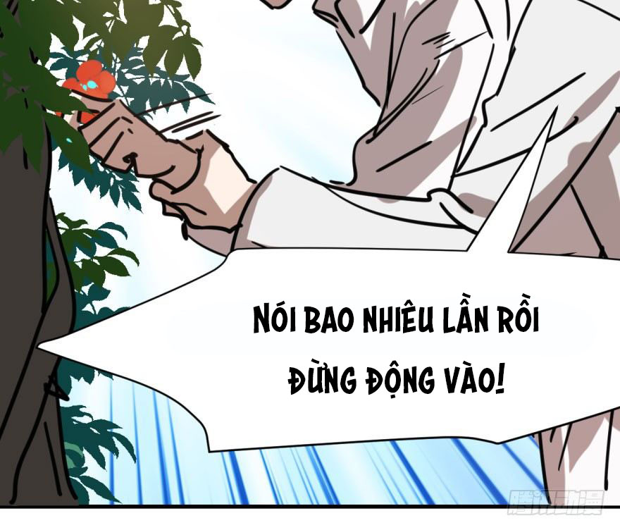 bắt lấy ngao ngao chapter 60 37