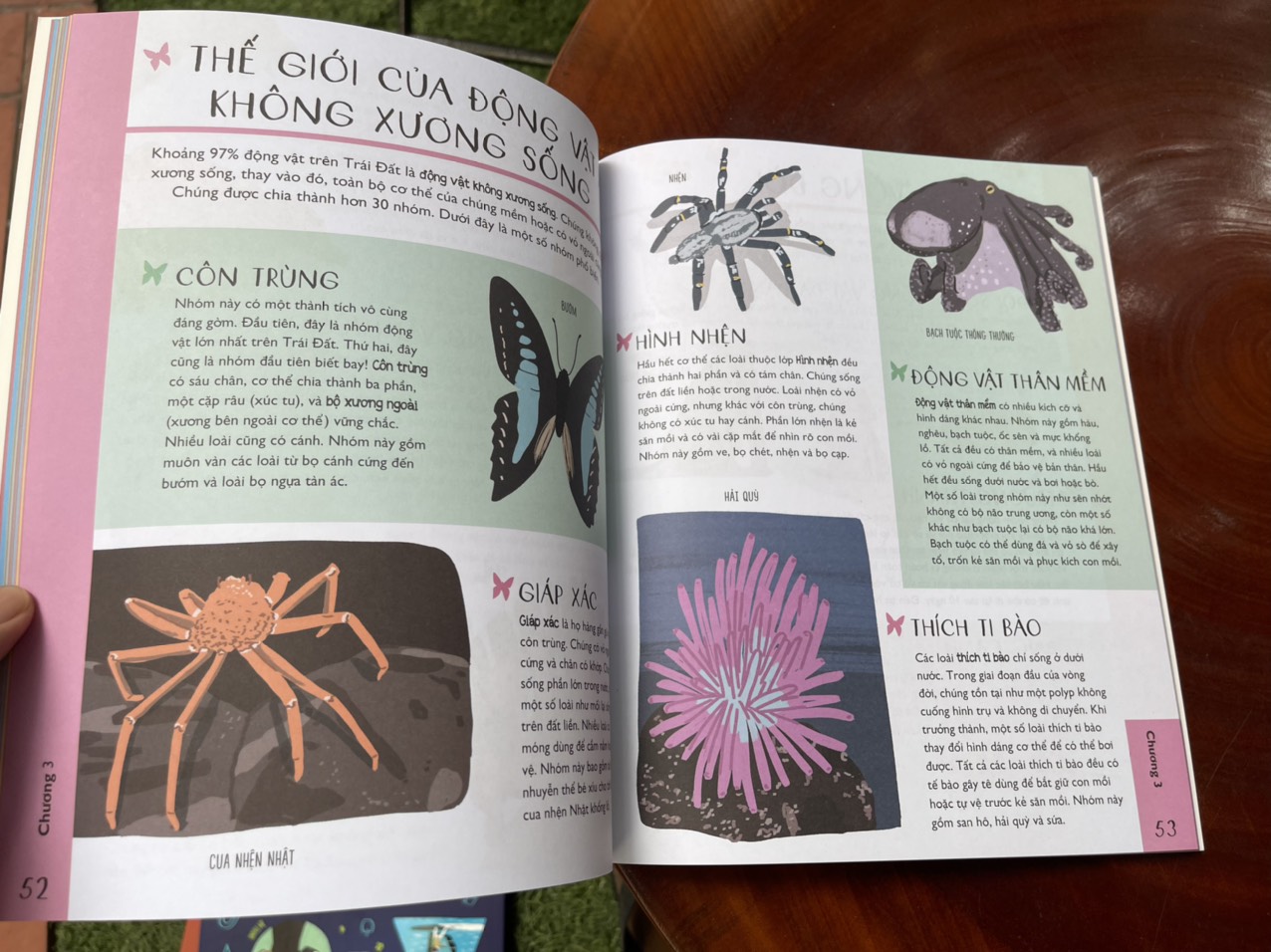 SINH HỌC CHO TRẺ TÒ MÒ - KHÁM PHÁ THẾ GIỚI SỐNG KÌ DIỆU! – Alex Foster, Laura Baker- Nxb Kim Đồng – bìa mềm