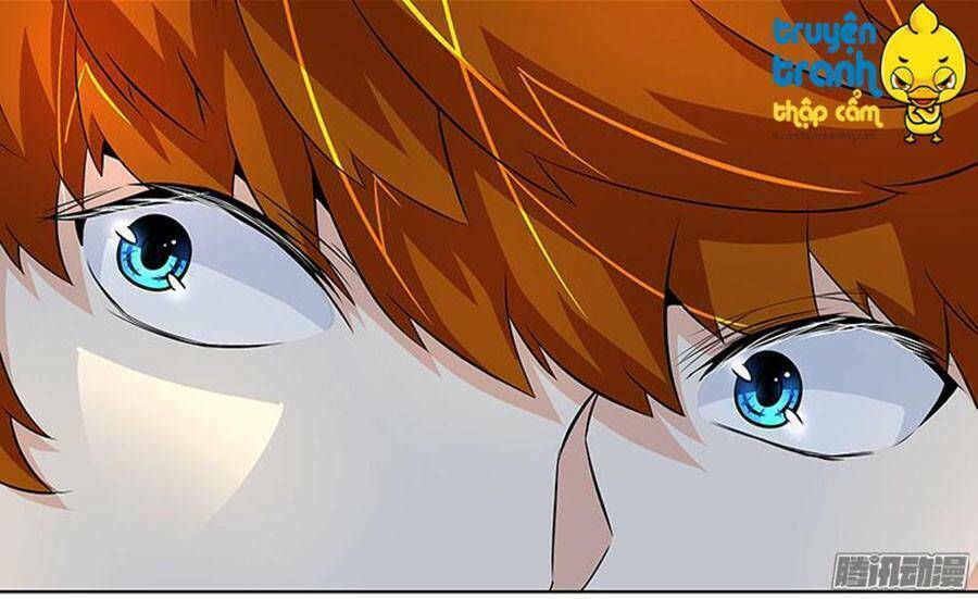 cường sủng hào môn tiểu manh thê chapter 19 11