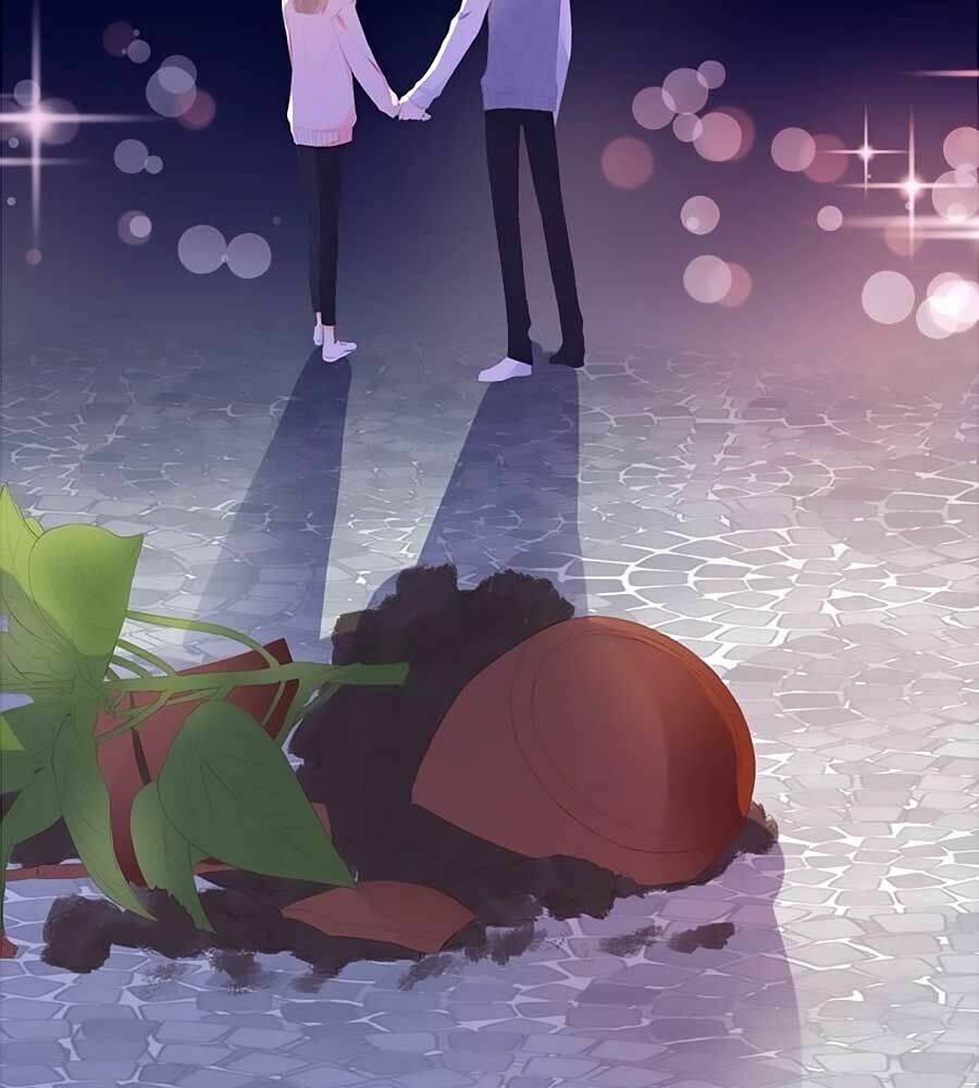 đóa hoa chớm nở chapter 67 52