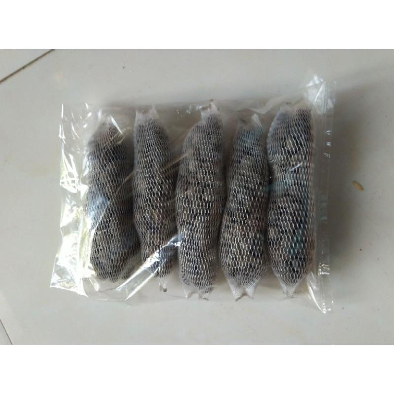 10 túi lưới phân dê tan chậm dài 10cm