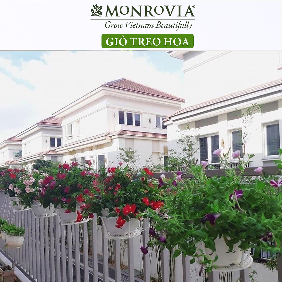 Combo 3 Giỏ treo chậu hoa ban công MONROVIA, giỏ sắt treo chậu hoa ban công, chậu treo ban công, kệ treo ban công, móc treo, khung thép, sơn tĩnh điện chính hãng thương hiệu MONROVIA - Màu Trắng