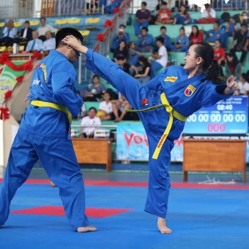 Khóa Học Video Online VOVINAM – Việt Võ Đạo Cơ Bản - Trung Tâm Chăm Sóc Sức Khỏe VMC