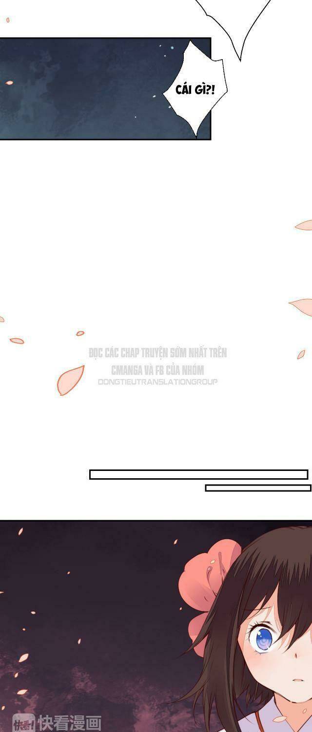 đốt đào hoa chapter 48 13