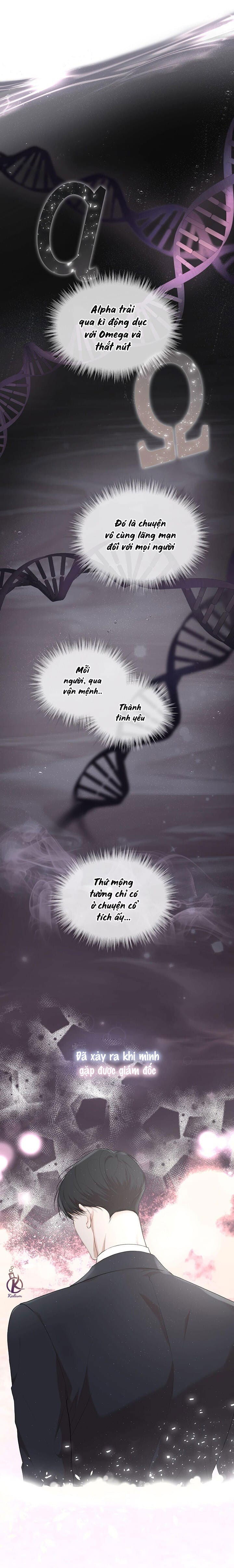 hình thái khởi sinh chapter 63 10
