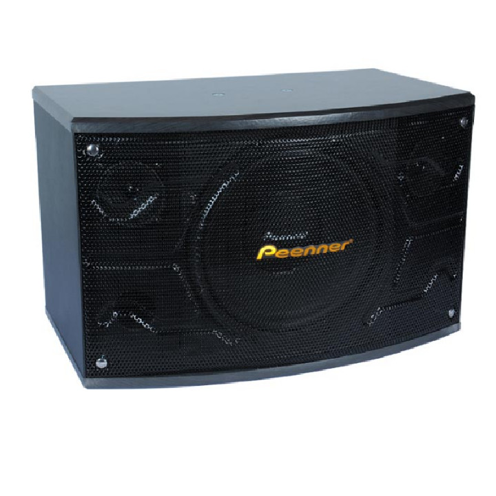 Loa Karaoke Nghe Nhạc Gia Đình Peenner PS-199 Bass 25cm - Loa cao cấp - Hàng chính hãng