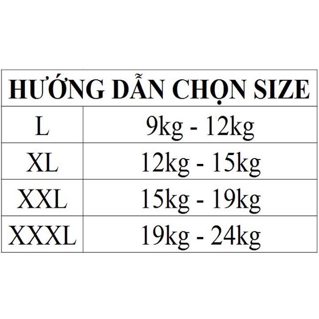 Set 10 Quần Lót Dạng Đùi 3D Cho Bé Gái ( 10 Quần )