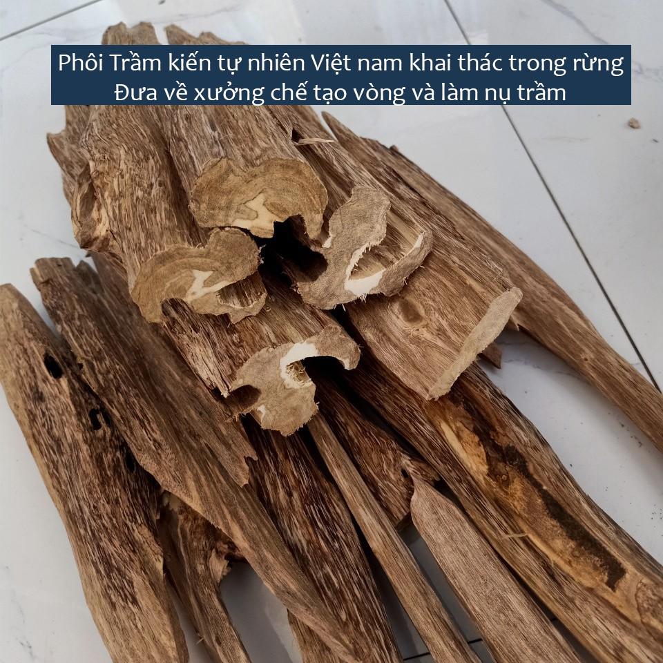 Nụ trầm hương Phúc An, trầm kiến Việt Nam tự nhiên , hương thanh ngọt hậu để xông nhà, thiền, yoga