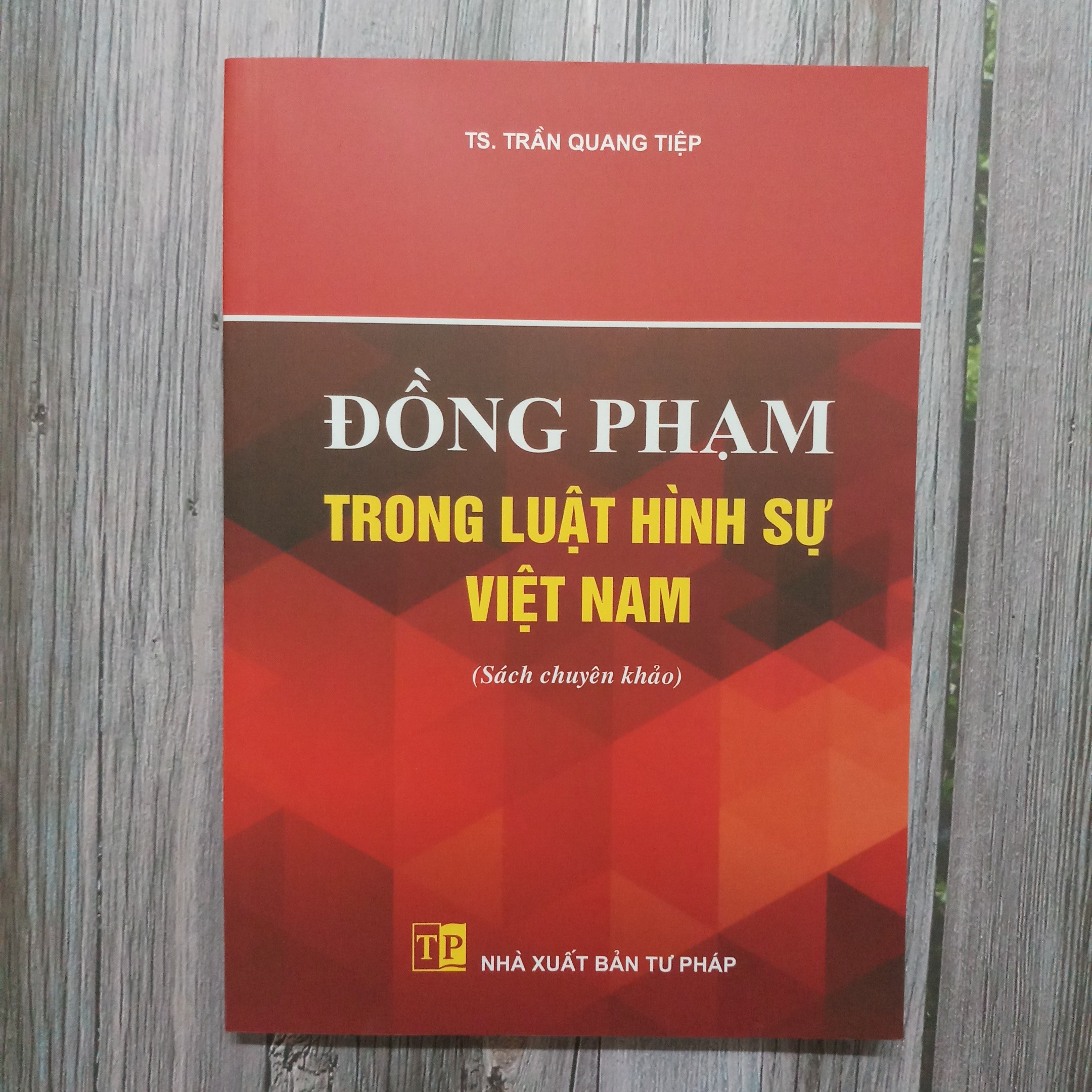 Đồng phạm trong luật hình sự Việt Nam