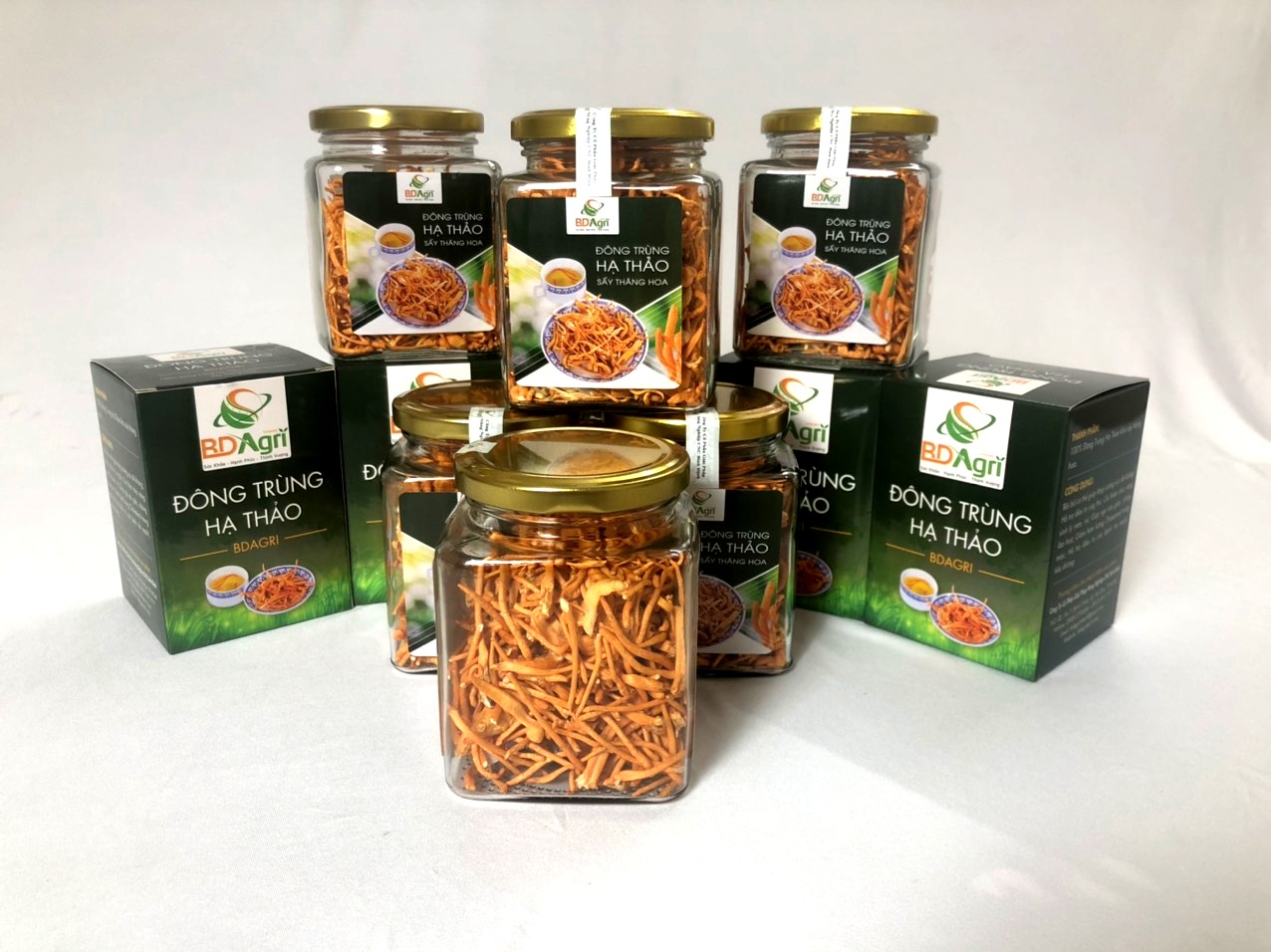 NẤM ĐÔNG TRÙNG HẠ THẢO SẤY THĂNG HOA BDAGRI LOẠI 2
