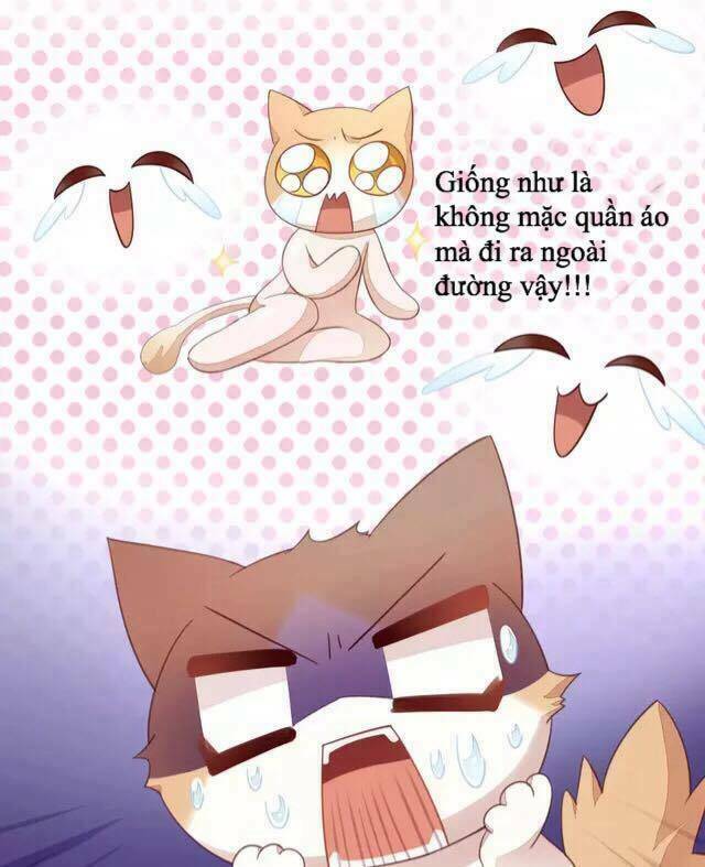dưới móng vuốt mèo chapter 17 29