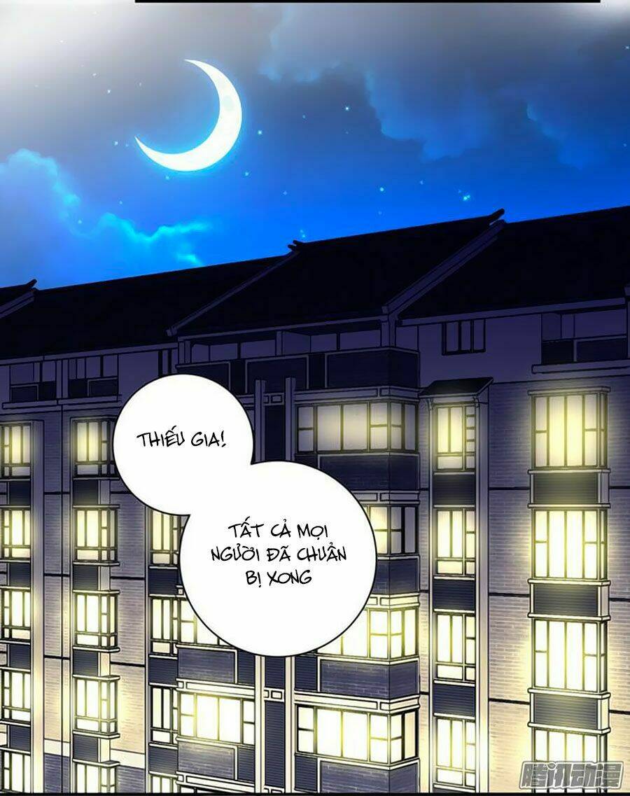 người yêu khát máu của tôi chapter 44 6